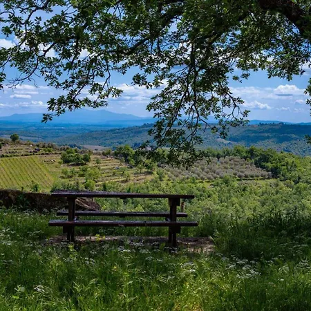Pergola Semesterbostad Gaiole in Chianti